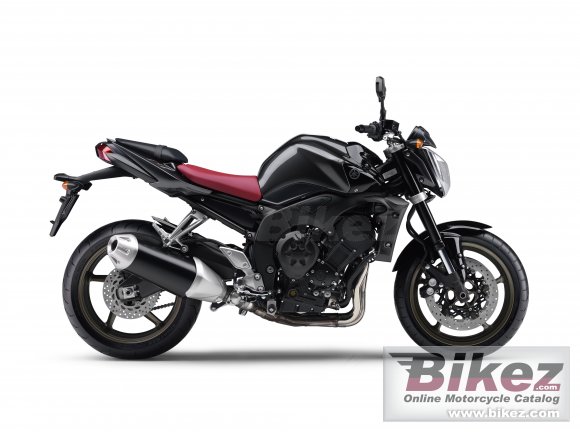 2009 Yamaha FZ1 photo